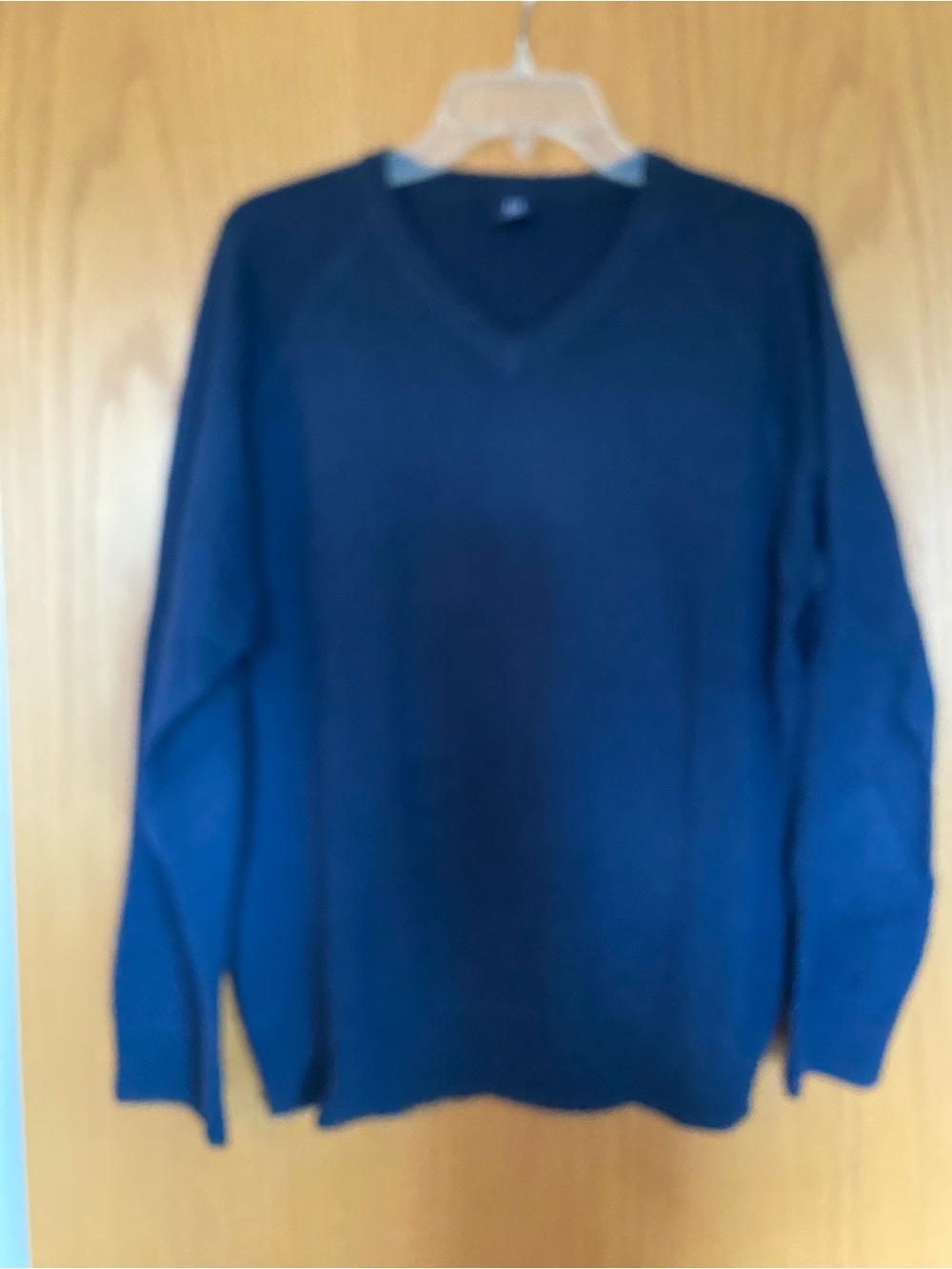 GAP Men's Navy V-Neck Sweater